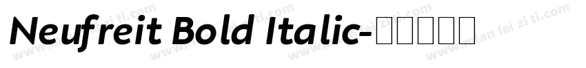 Neufreit Bold Italic字体转换